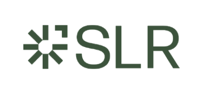 Executive Coaching Dublin SLR