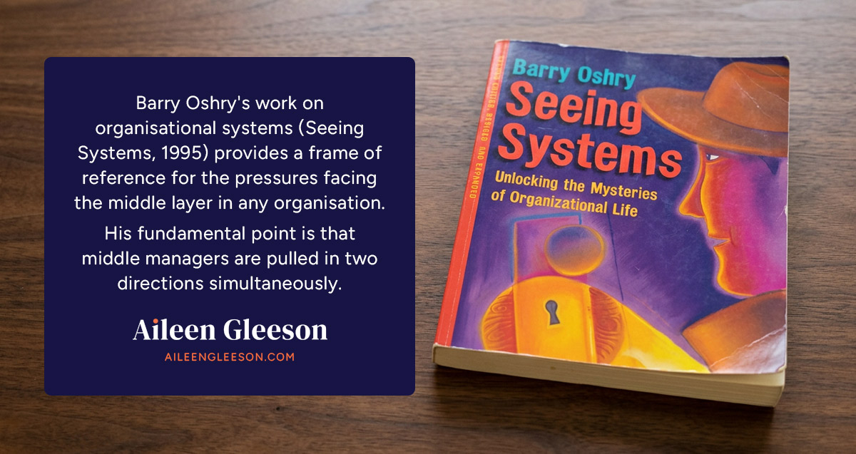 Barry Oshry - Seeing Systems - Aileen Gleeson